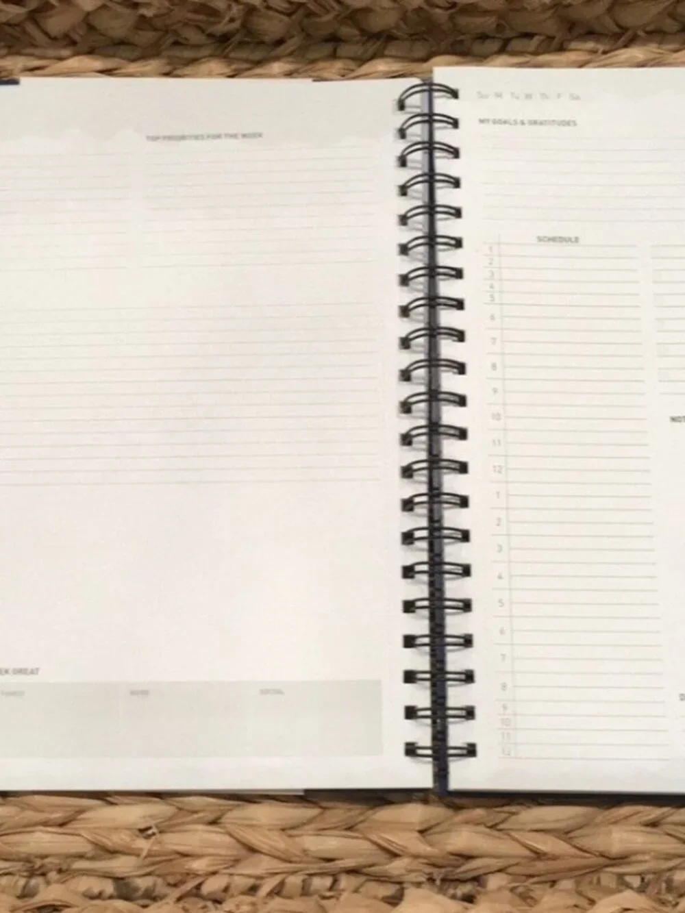 Power Place Personal Daily Planner Non-Dated 6 Months 8.5x11 Blue